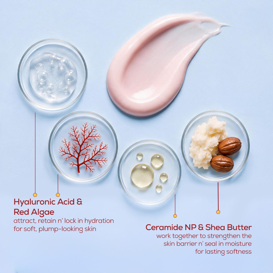 Biome Balance Body Milk Lotion - Morning Bloom