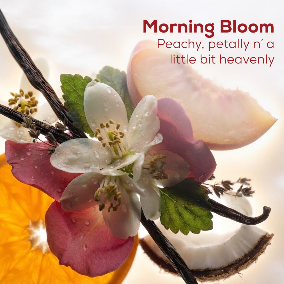 BIOME BALANCE BODY MILK LOTION Morning Bloom